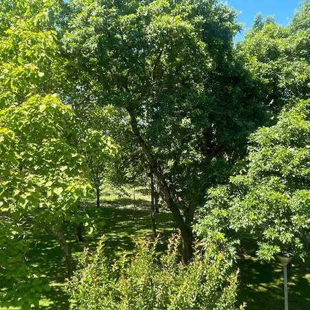 Bourbon Floirac (Gironde)